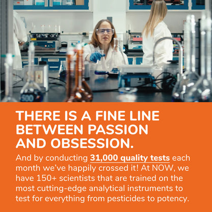 NOW Foods Milk Thistle Extract, 100 Veg Capsules