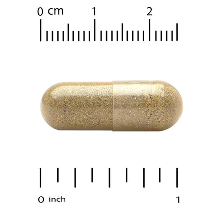 California Gold Nutrition Organic Lion's Mane 600 mg - 90 Veg Capsules